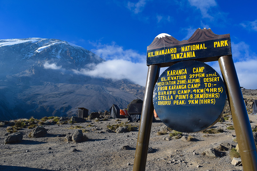 How To Find and Book Your Kilimanjaro Climb